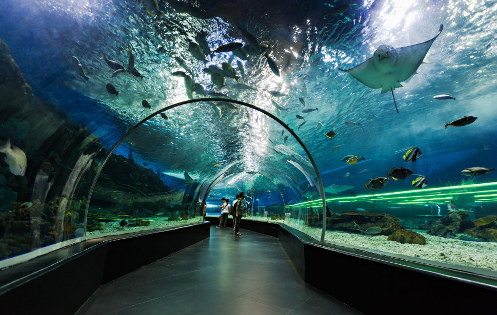 Views of Dubai