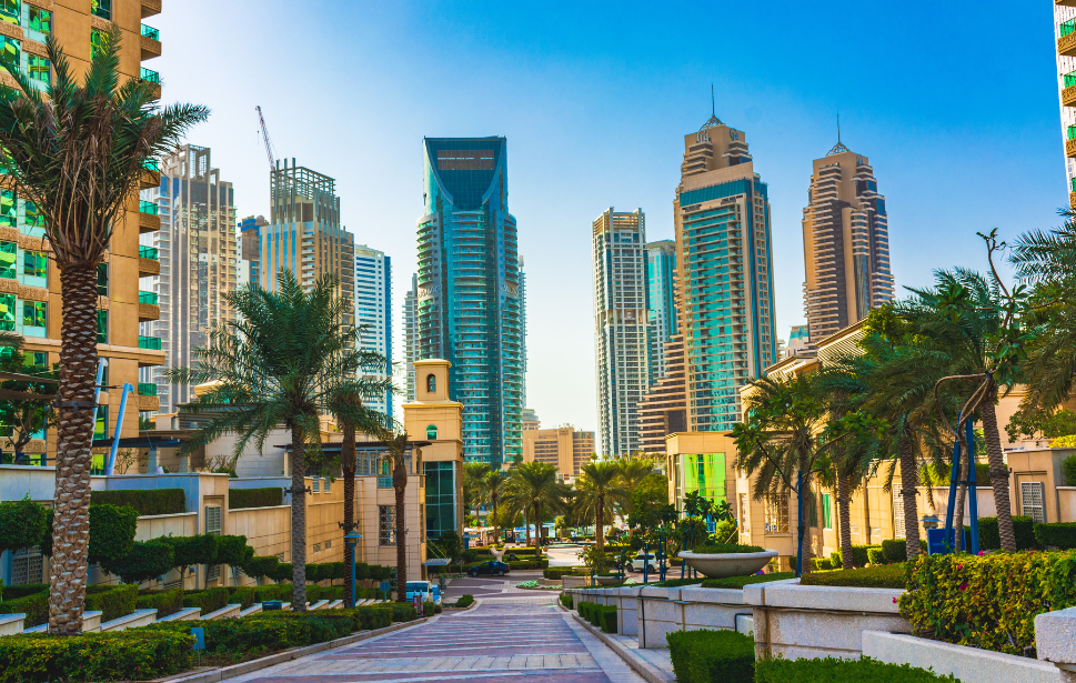Dubai Panoramic Adventure